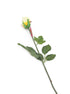 Artificial 60cm Single Stem Closed Bud Yellow and Cream Rose